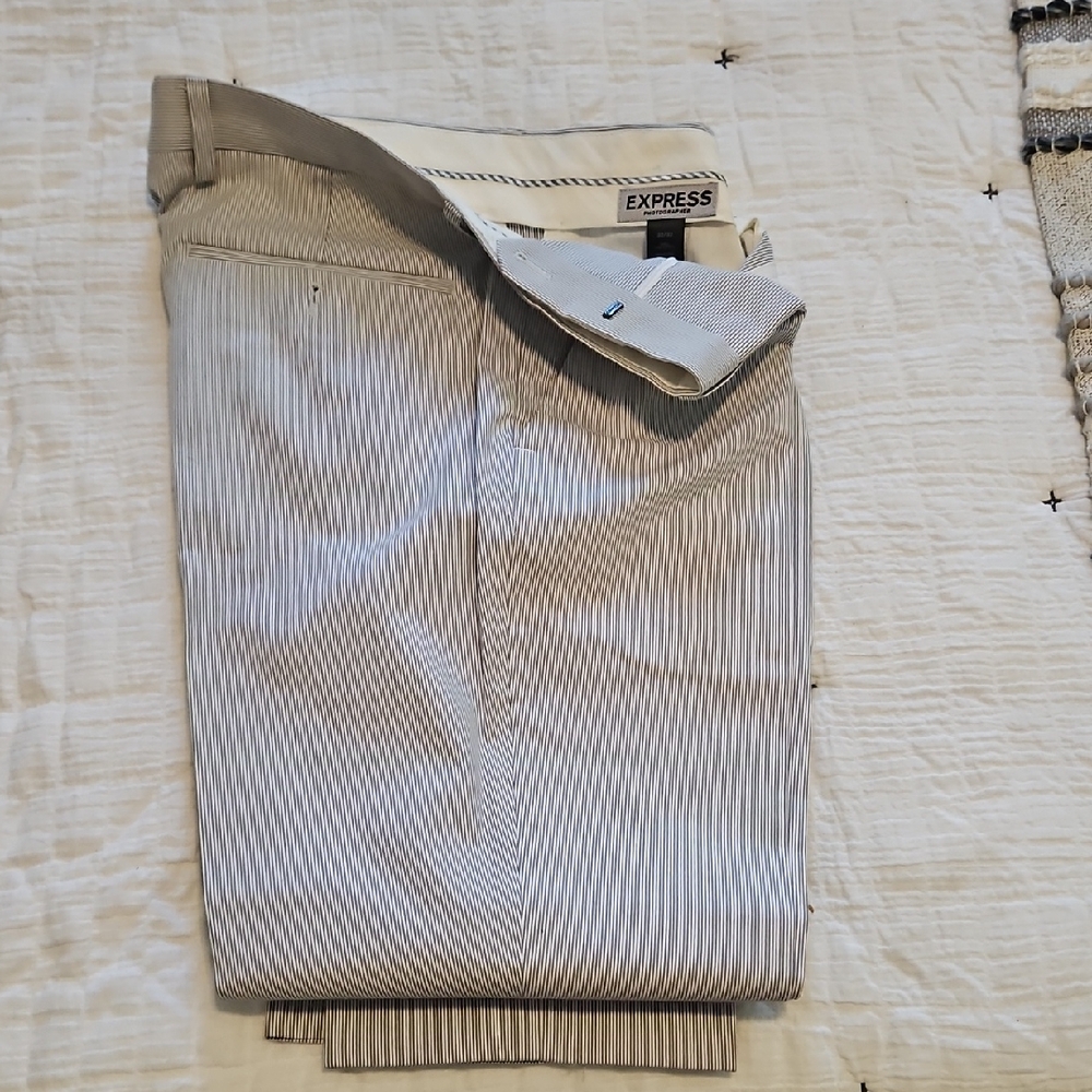 Express Men's Pinstriped Gray Dress Pants